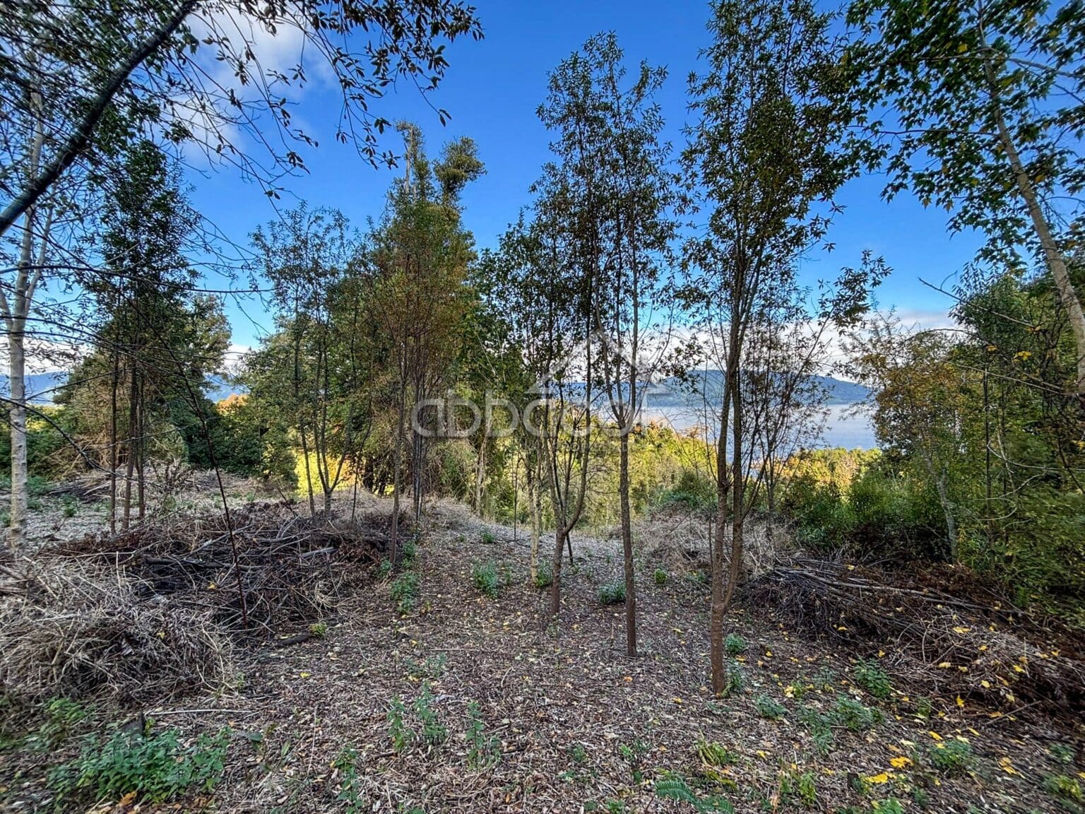 Parcela en venta en Puyehue — foto 2