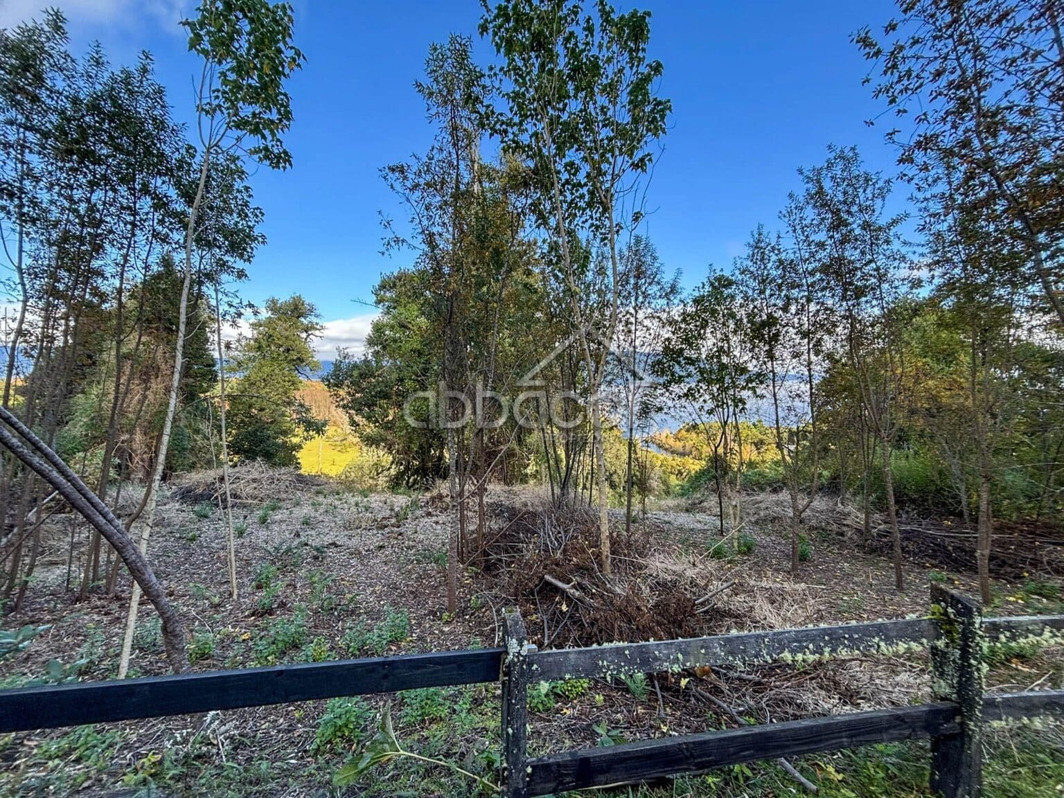 Parcela en venta en Puyehue — foto 3