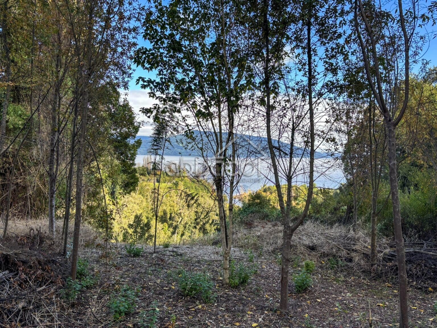 Parcela en venta en Puyehue — foto 4
