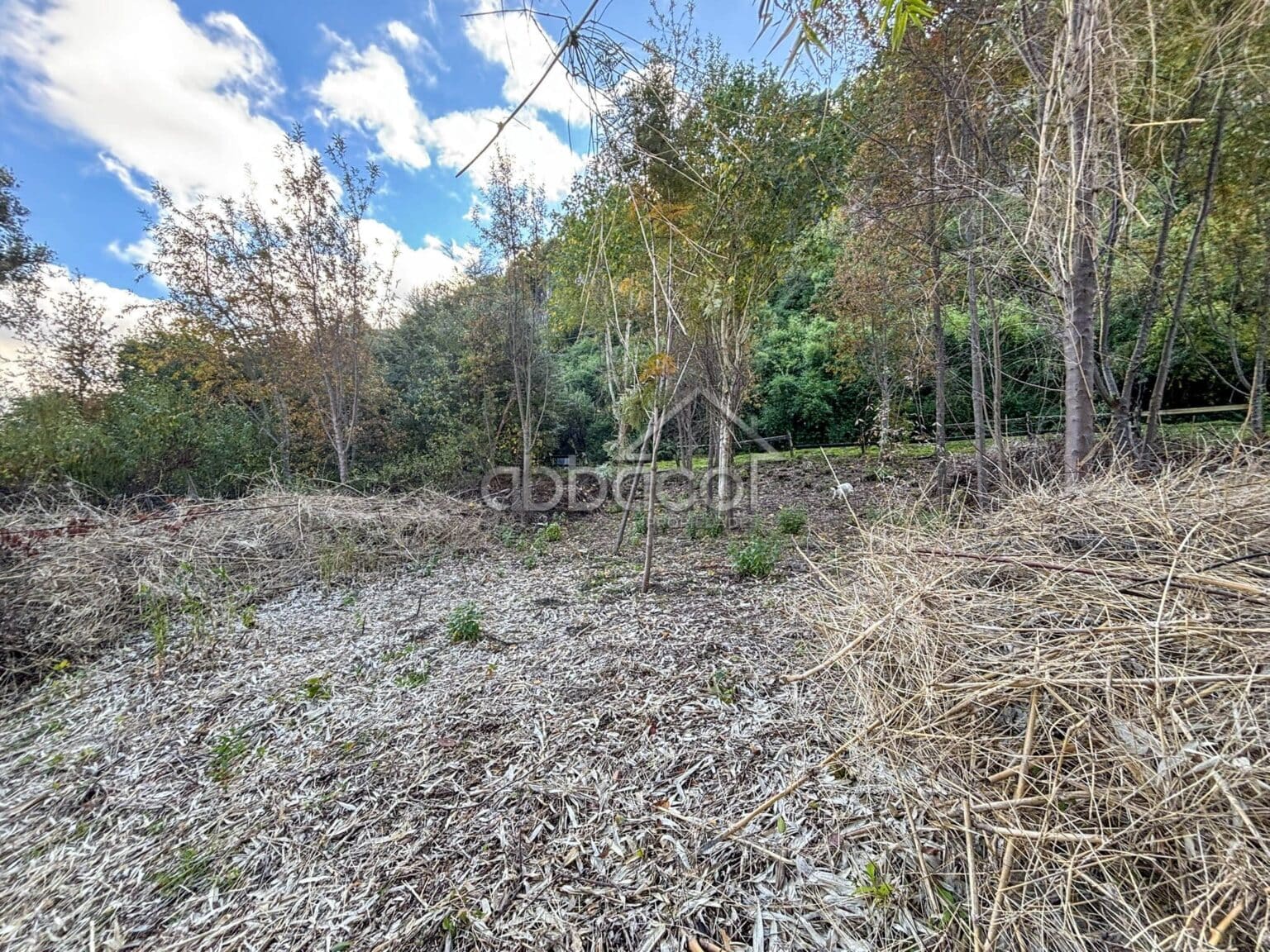 Parcela en venta en Puyehue — foto 8