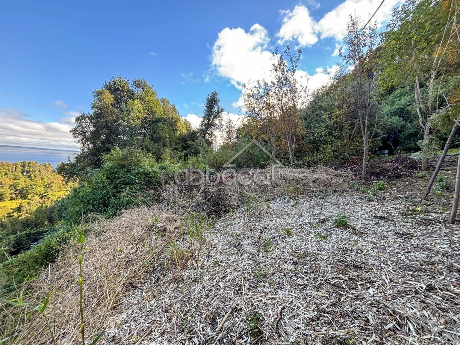 Parcela en venta en Puyehue — foto 9