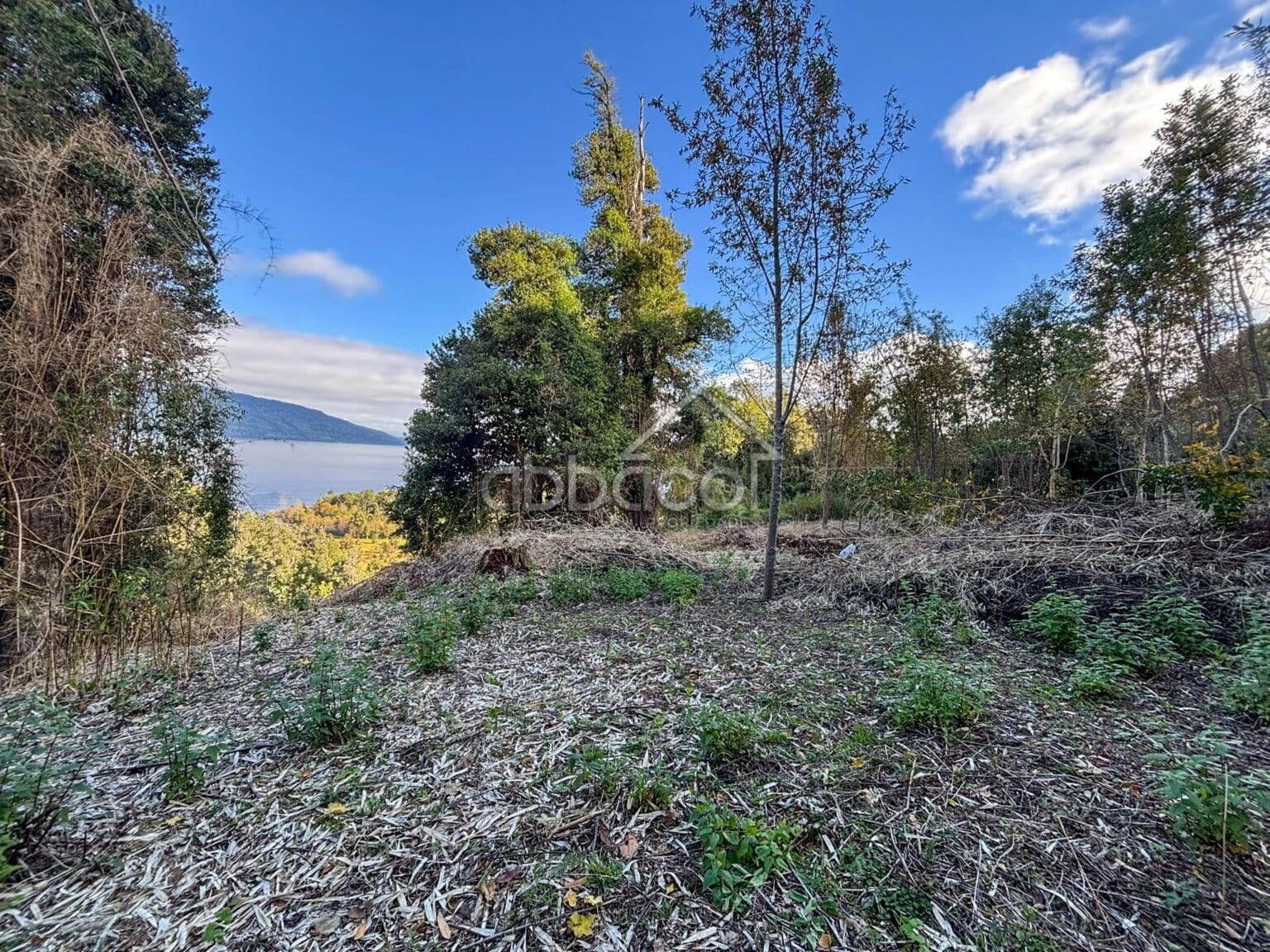 Parcela en venta en Puyehue — foto 10
