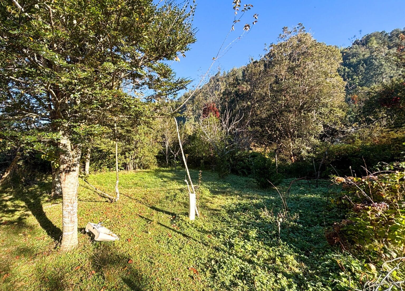 Casa en arriendo en Puerto Montt — foto 5