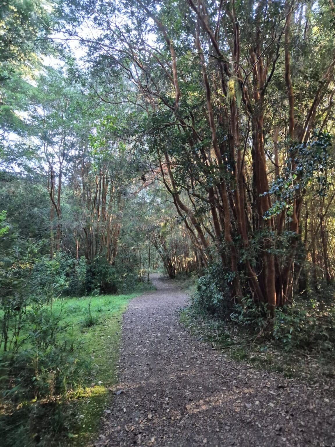 Parcela en venta en Cochamó — foto 4