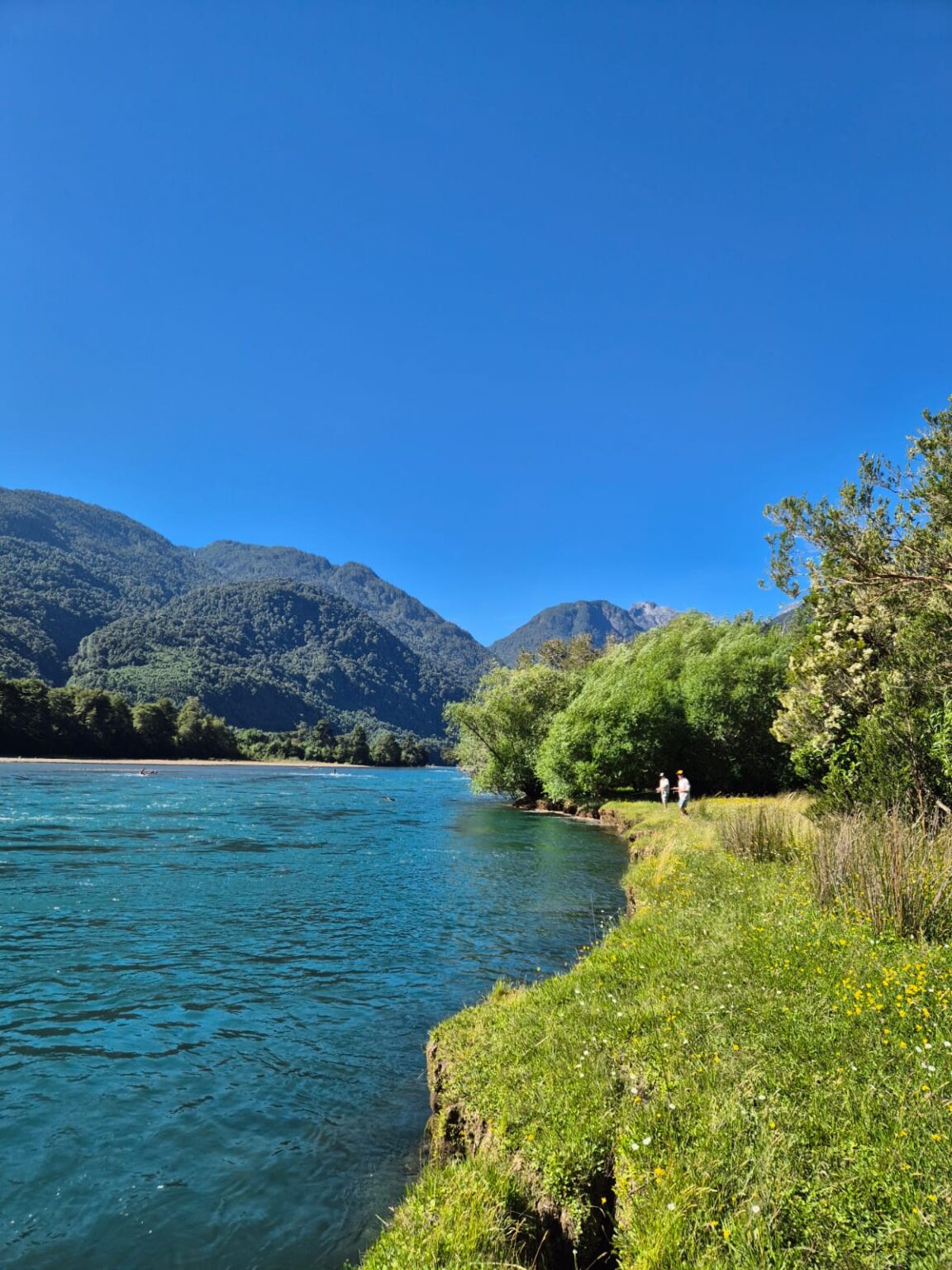 Parcela en venta en Cochamó — foto 7