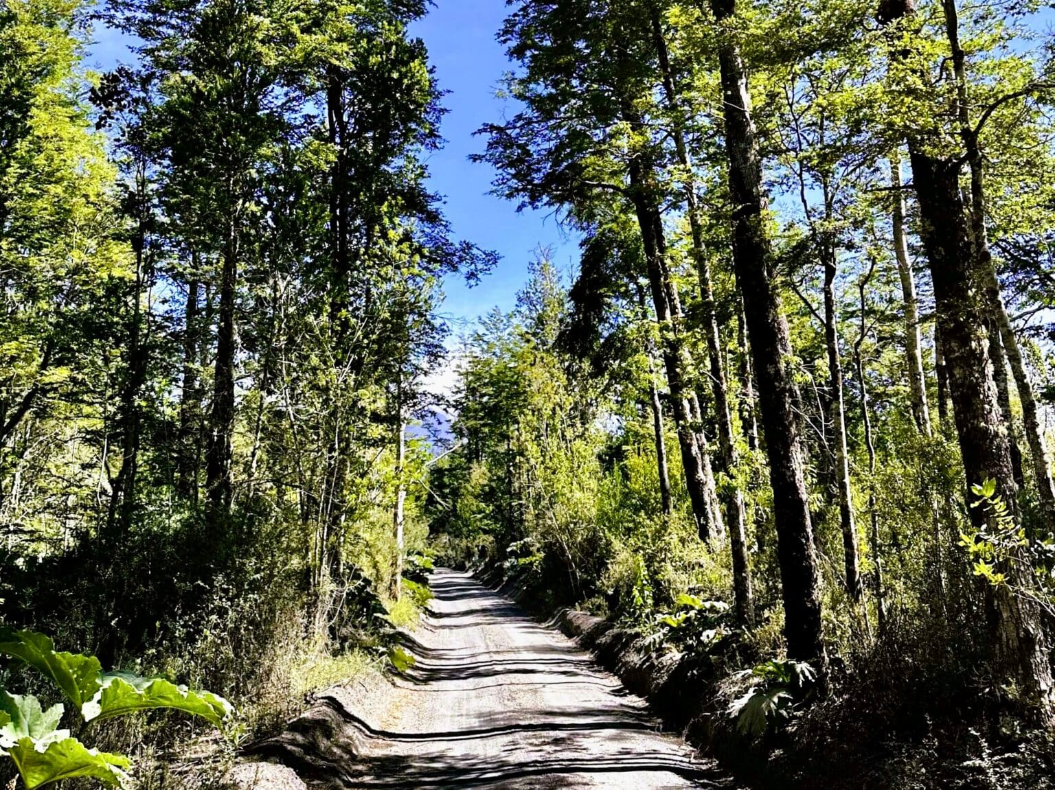 Parcela en venta en Puerto Varas — foto 1