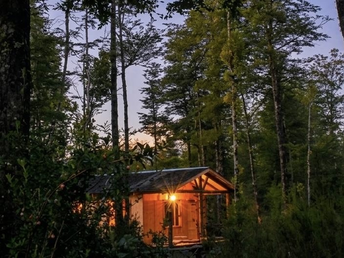 Parcela en venta en Puerto Varas — foto 10