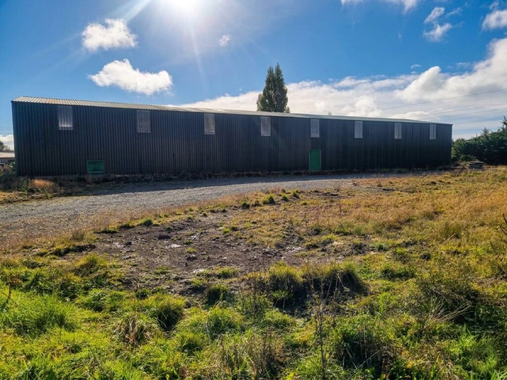 Bodega en arriendo en Puerto Varas — foto 6