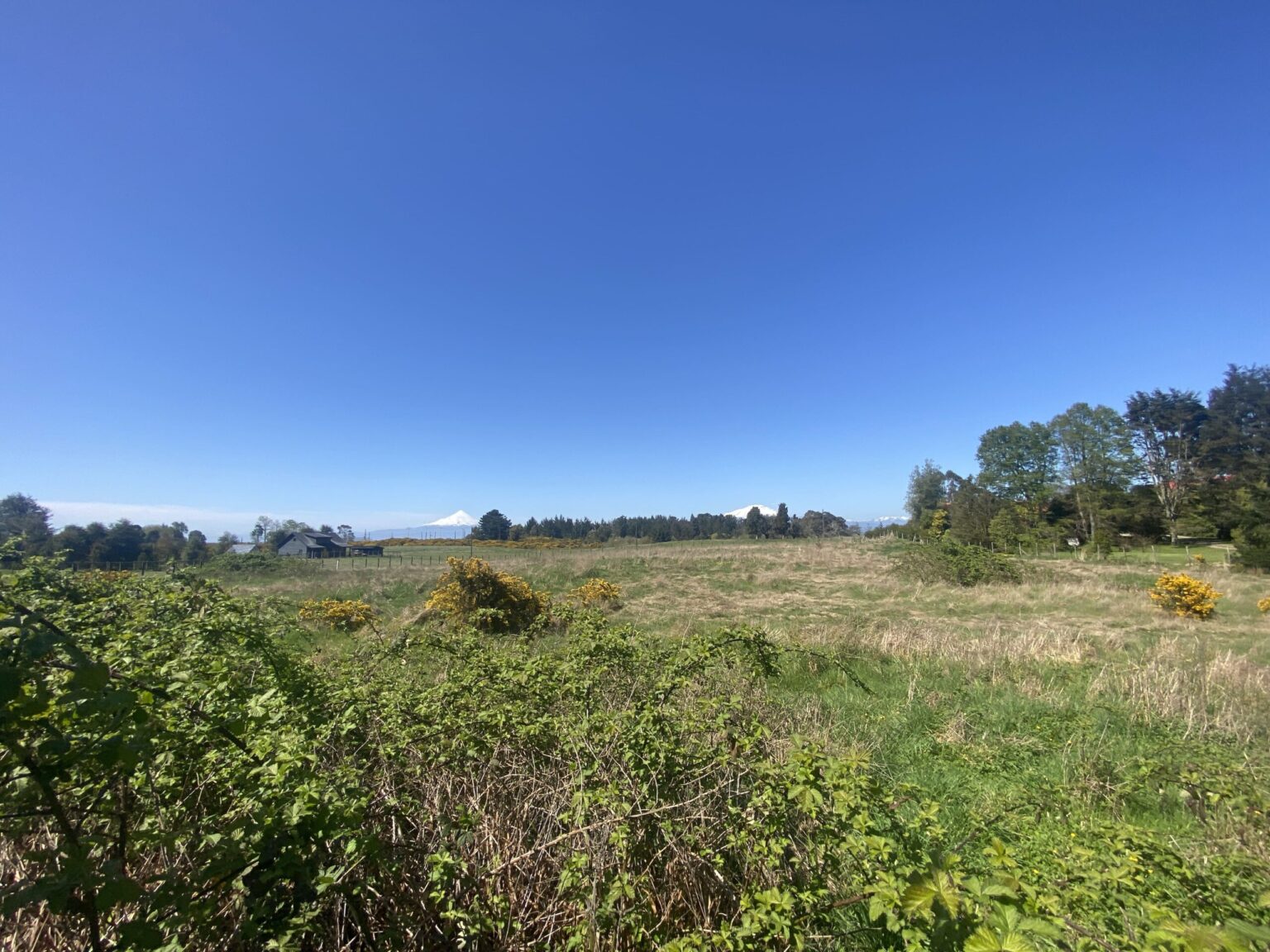 Terreno en venta en Puerto Varas — foto 9
