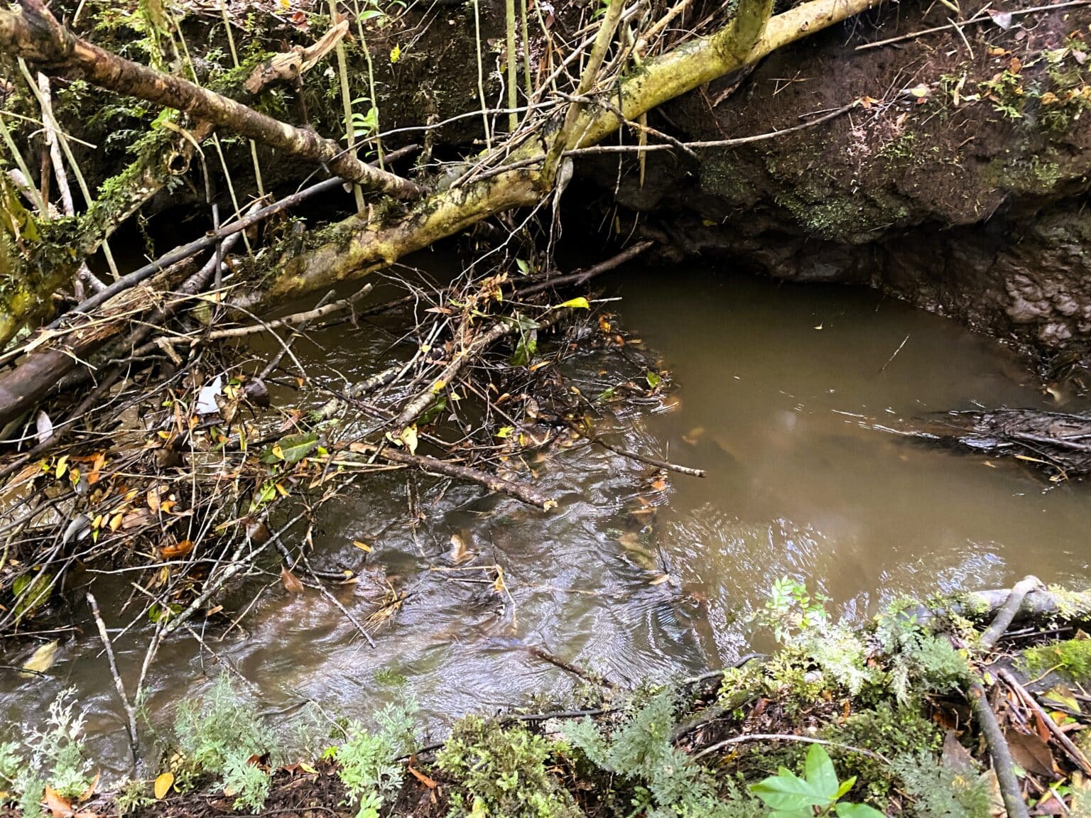 Parcela en venta en Puerto Varas — foto 10