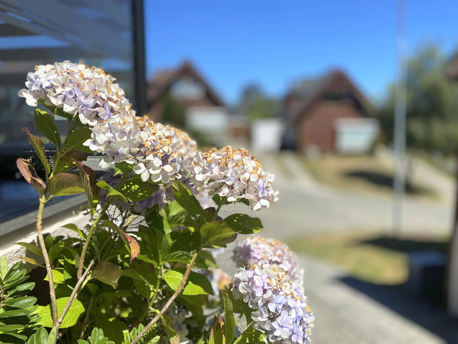 Casa en venta en Puerto Montt — foto 2