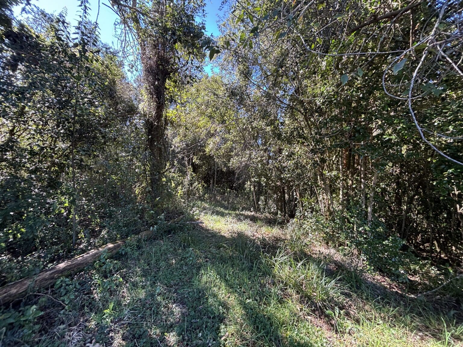 Parcela en venta en Puerto Varas — foto 10