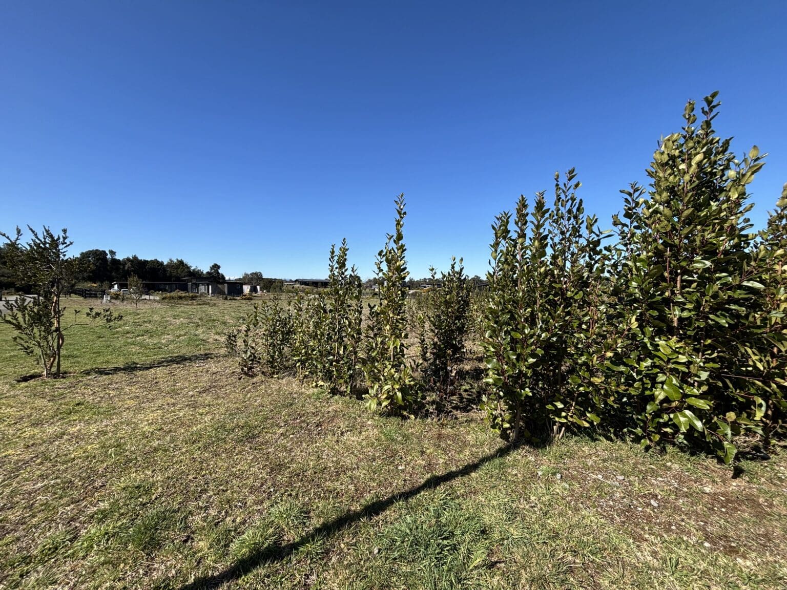 Parcela en venta en Puerto Varas — foto 6