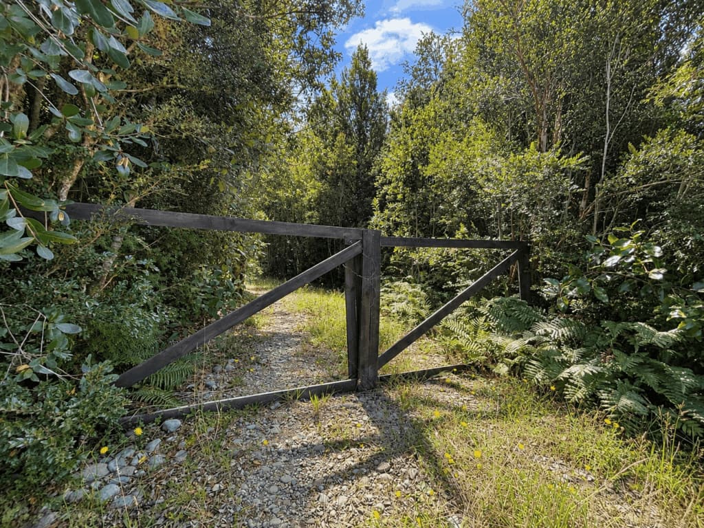 Parcela en venta en Puerto Varas — foto 2