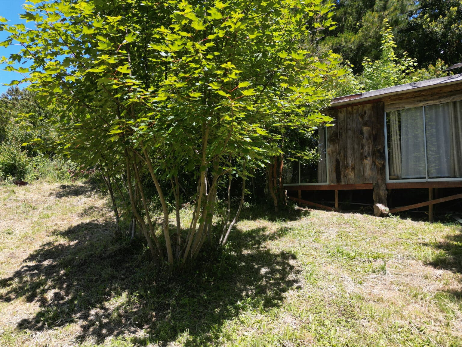 Terreno en venta en Puerto Octay — foto 8