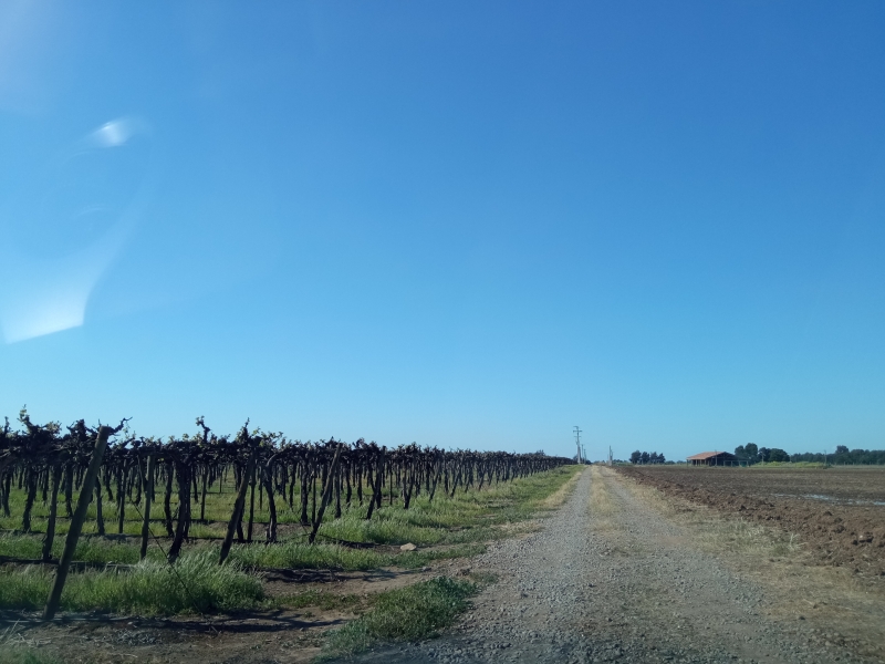 Terreno en venta en San Clemente — foto 1