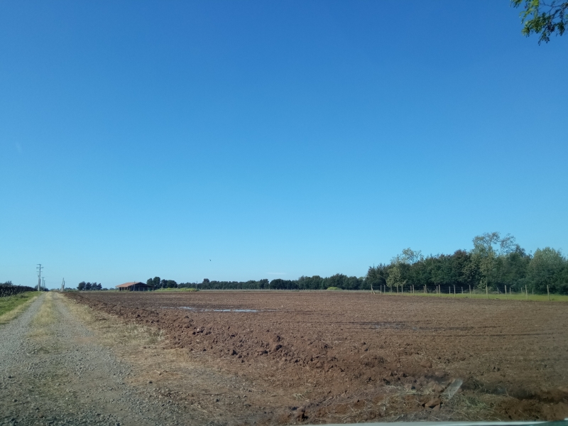 Terreno en venta en San Clemente — foto 3