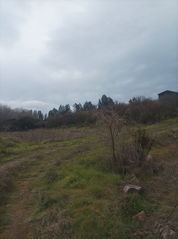 Terreno en venta en Pencahue — foto 2