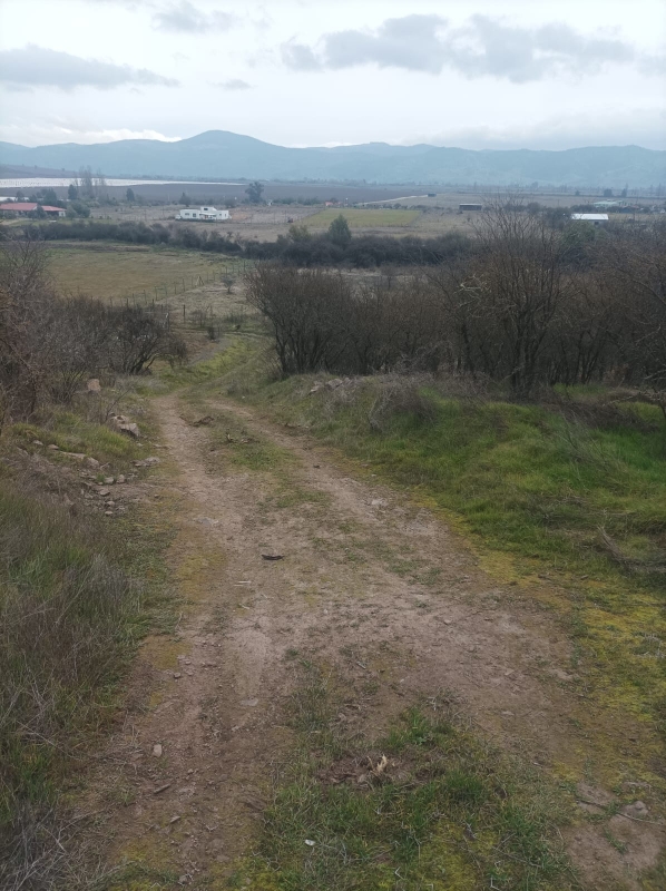 Terreno en venta en Pencahue — foto 5