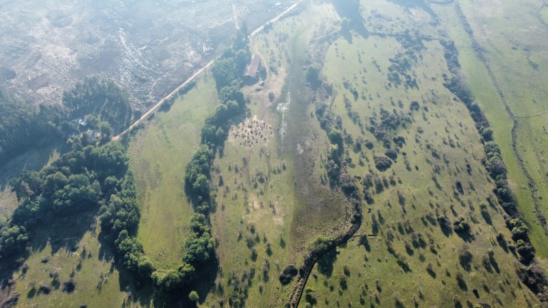 Parcela en venta en Pelarco — foto 1