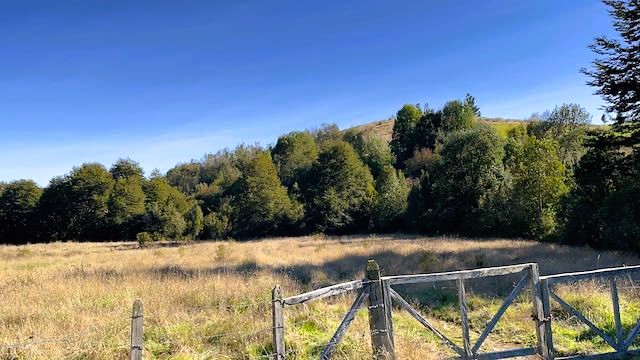 Parcela en venta en Los Muermos — foto 4