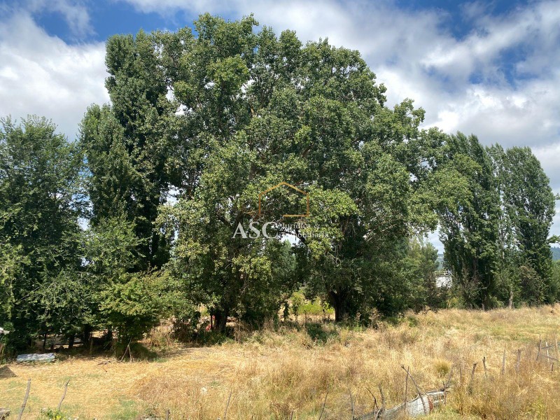 Terreno en venta en Los Ángeles — foto 4