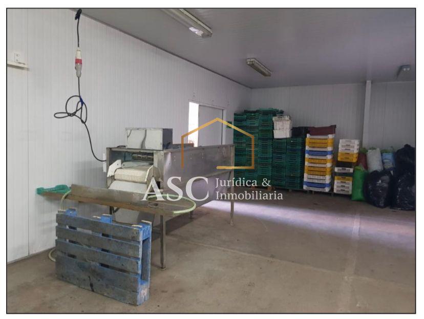 Terreno en venta en Angol — foto 3