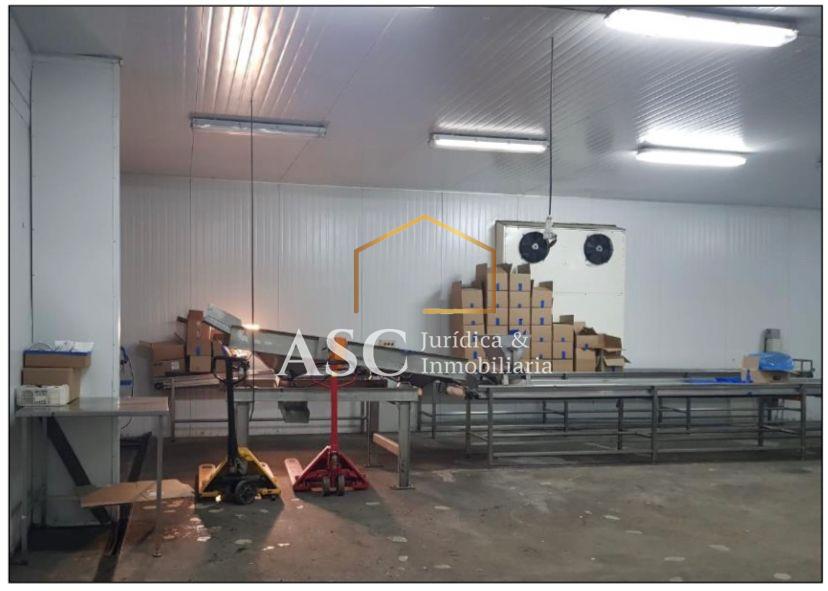 Terreno en venta en Angol — foto 4