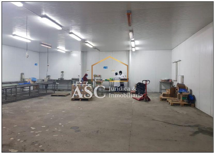 Terreno en venta en Angol — foto 5