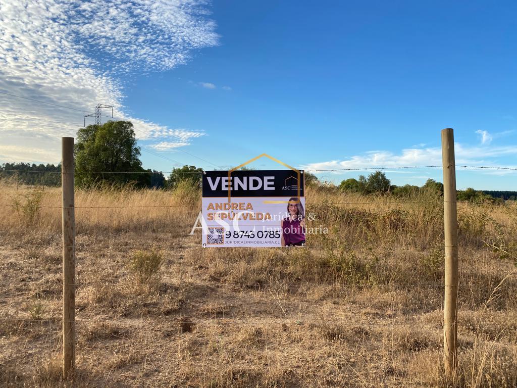 Terreno en arriendo en Los Ángeles — foto 1