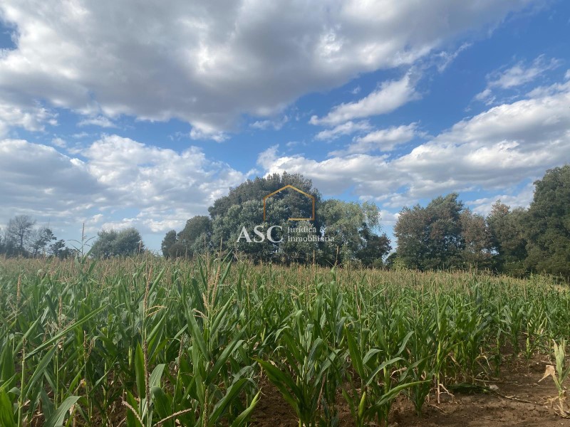 Parcela en venta en Chillán — foto 3