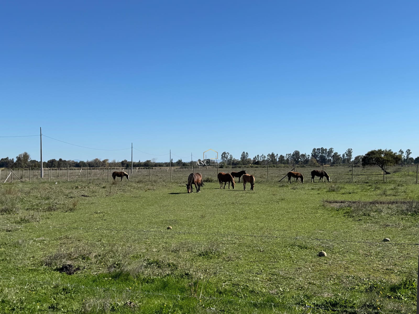 Parcela en venta en Chillán — foto 10