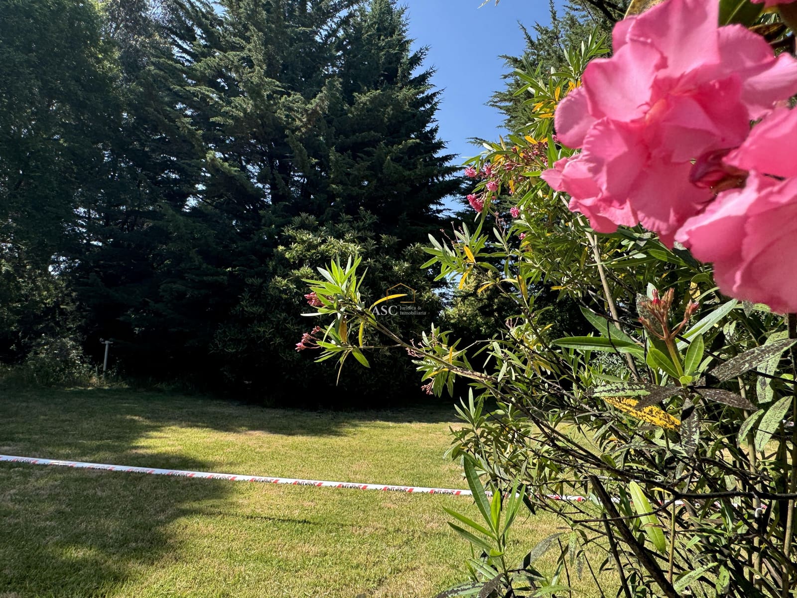 Terreno en venta en Los Ángeles — foto 2