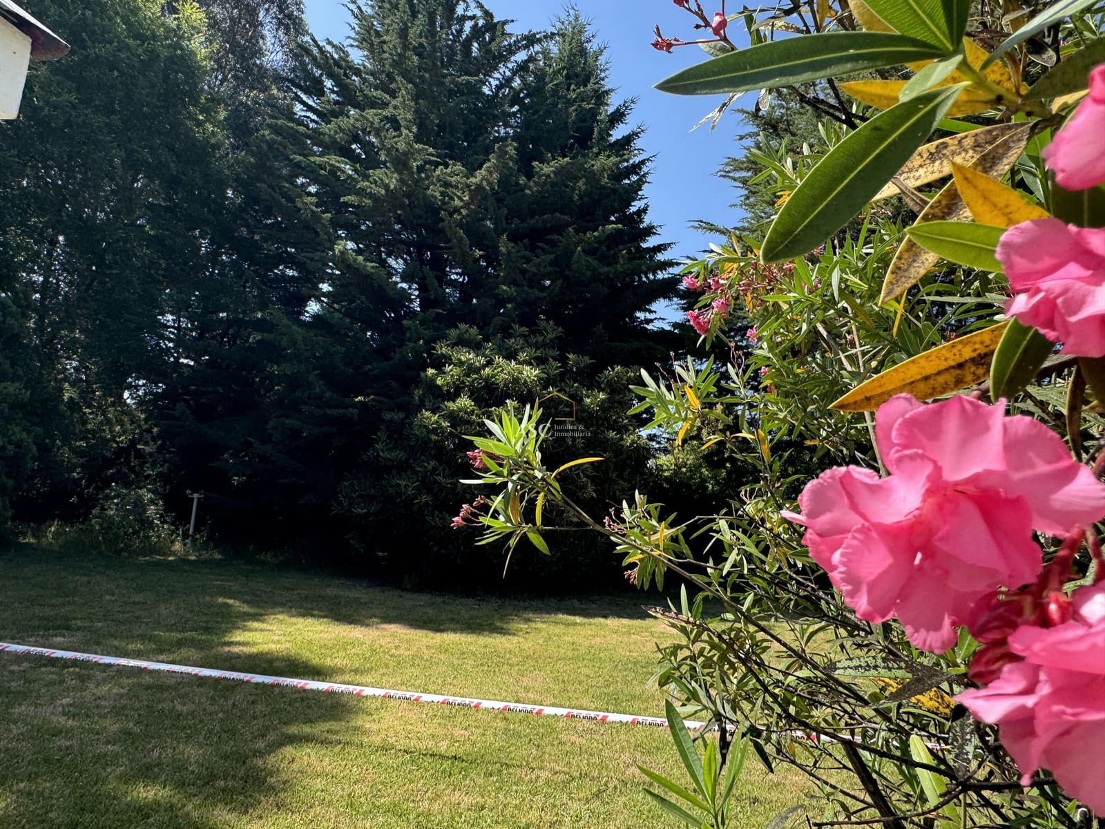 Terreno en venta en Los Ángeles — foto 3