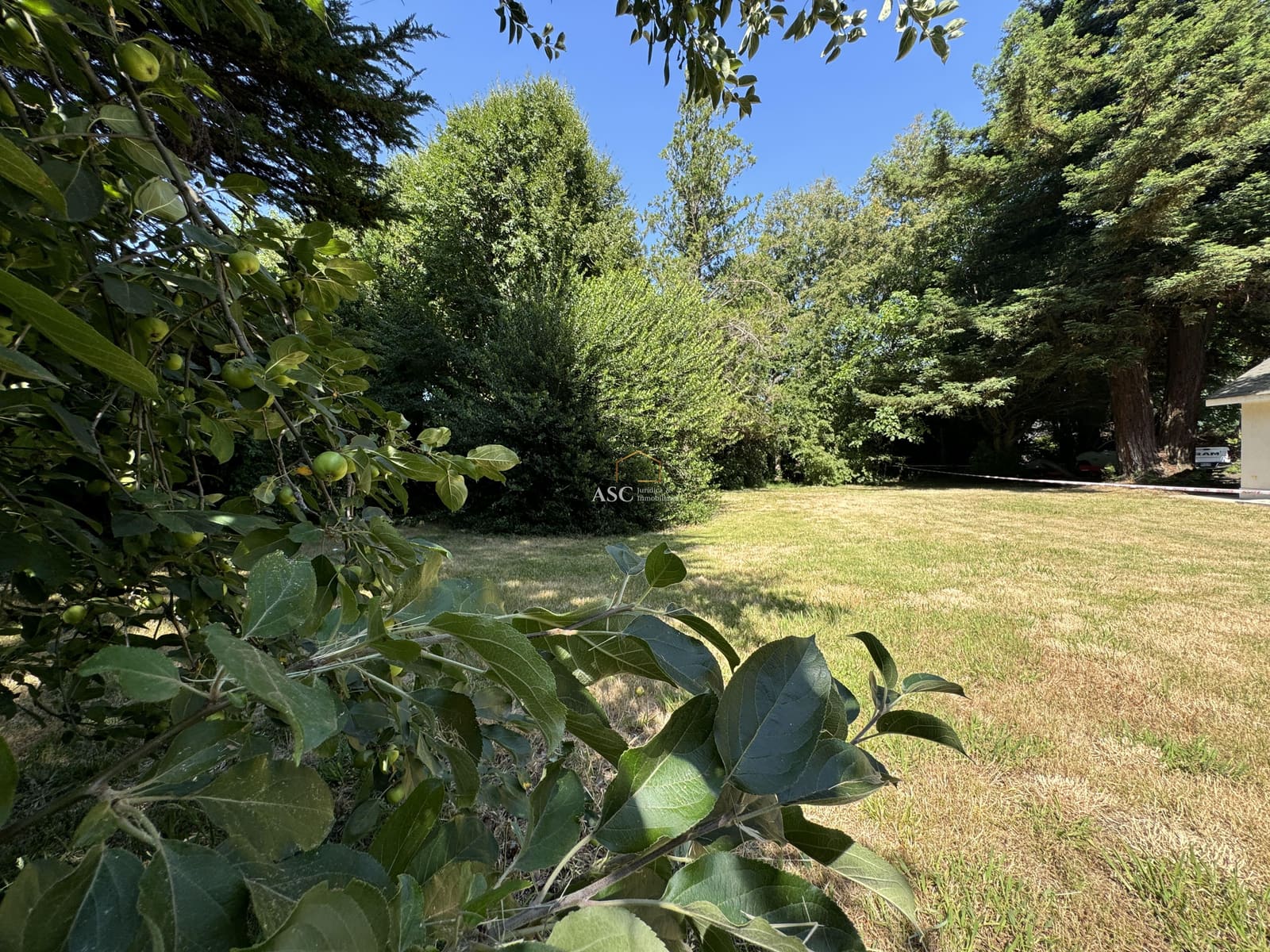 Terreno en venta en Los Ángeles — foto 5