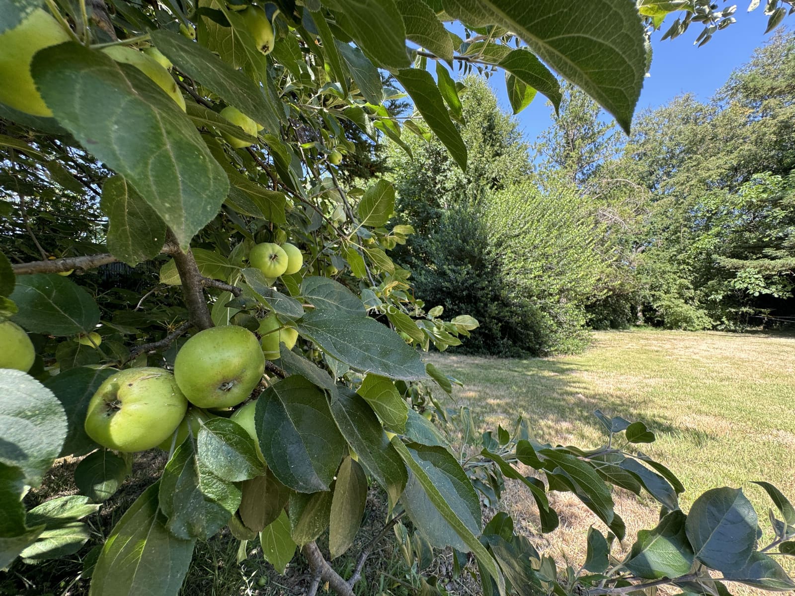 Terreno en venta en Los Ángeles — foto 6