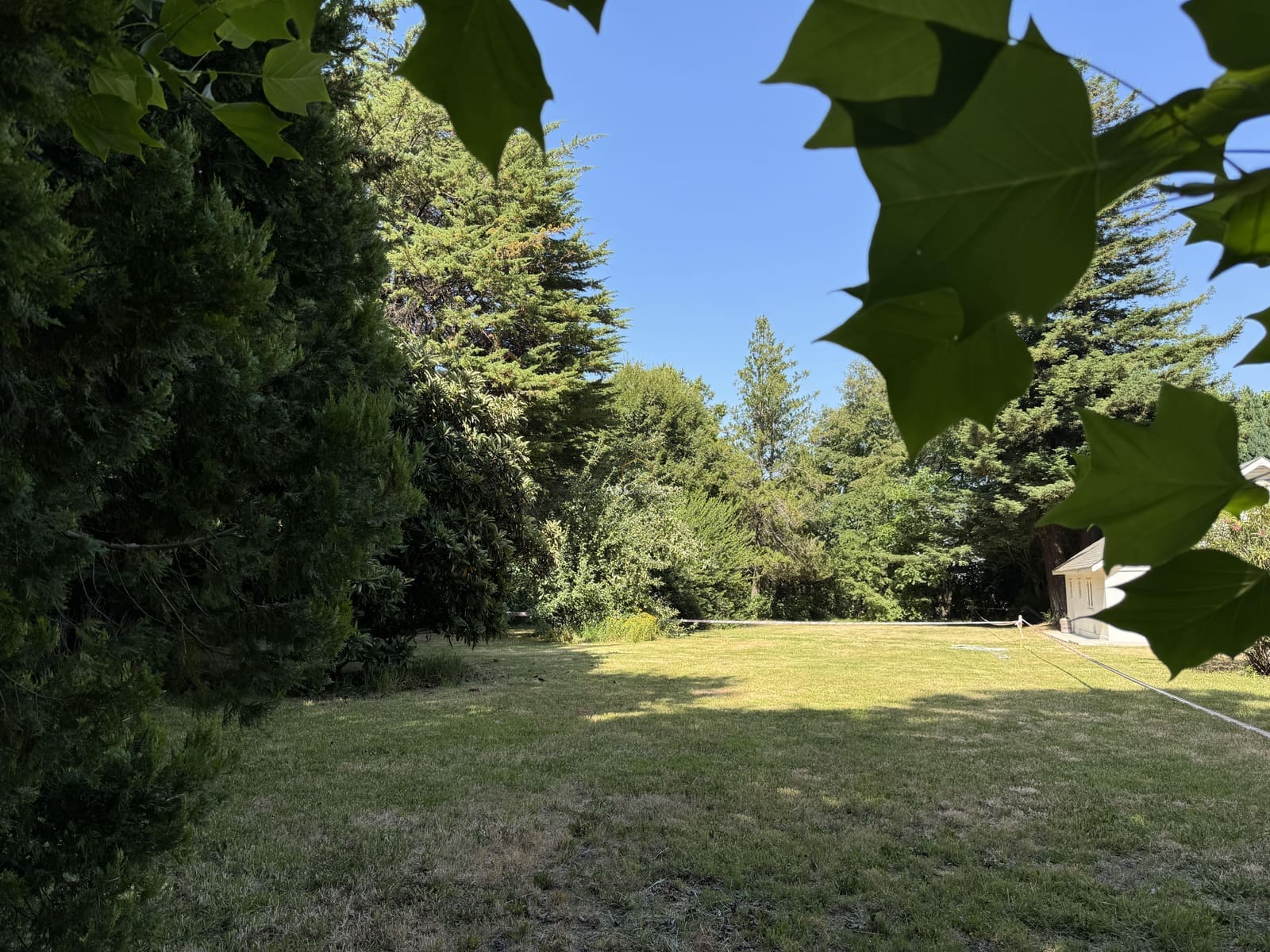 Terreno en venta en Los Ángeles — foto 7