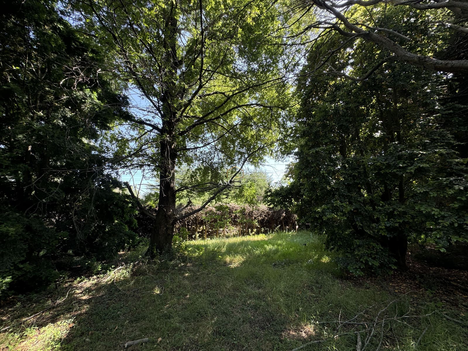Terreno en venta en Los Ángeles — foto 9