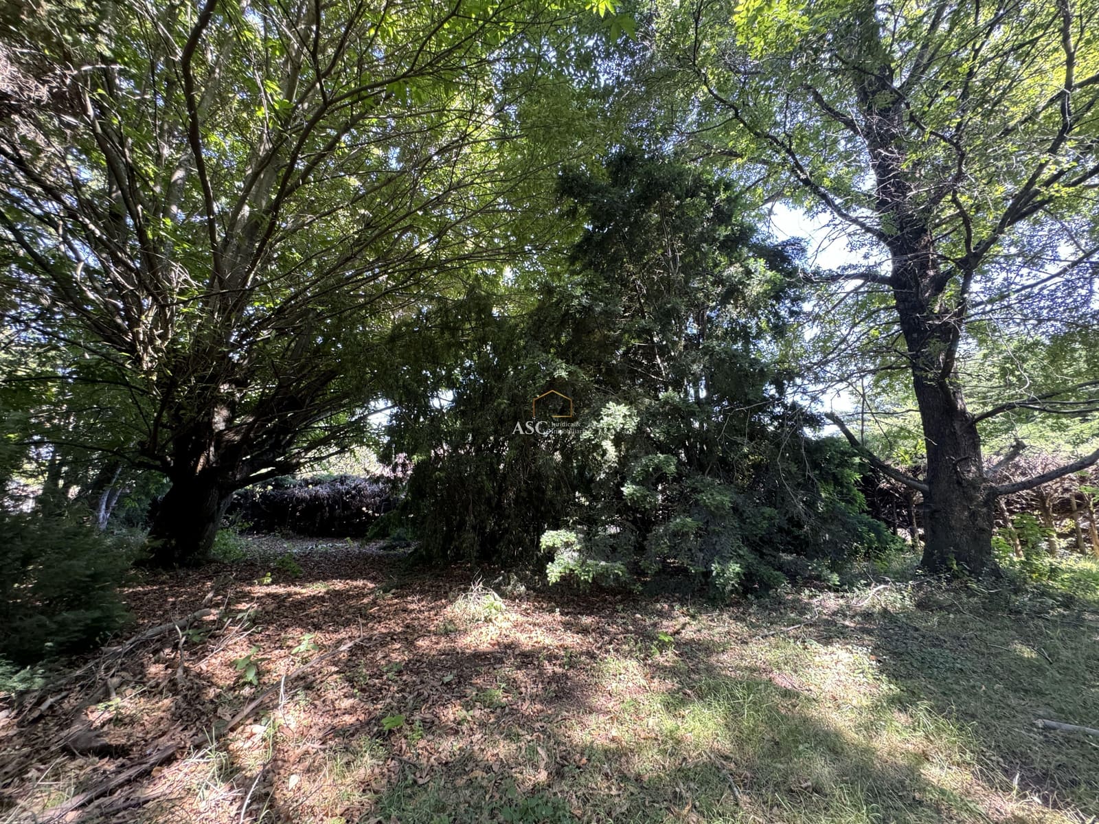 Terreno en venta en Los Ángeles — foto 10