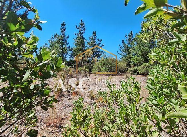 Parcela en venta en Los Ángeles — foto 1