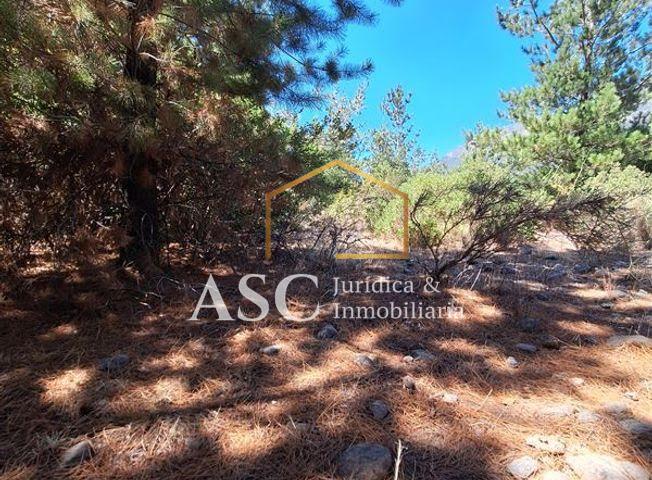 Parcela en venta en Los Ángeles — foto 2