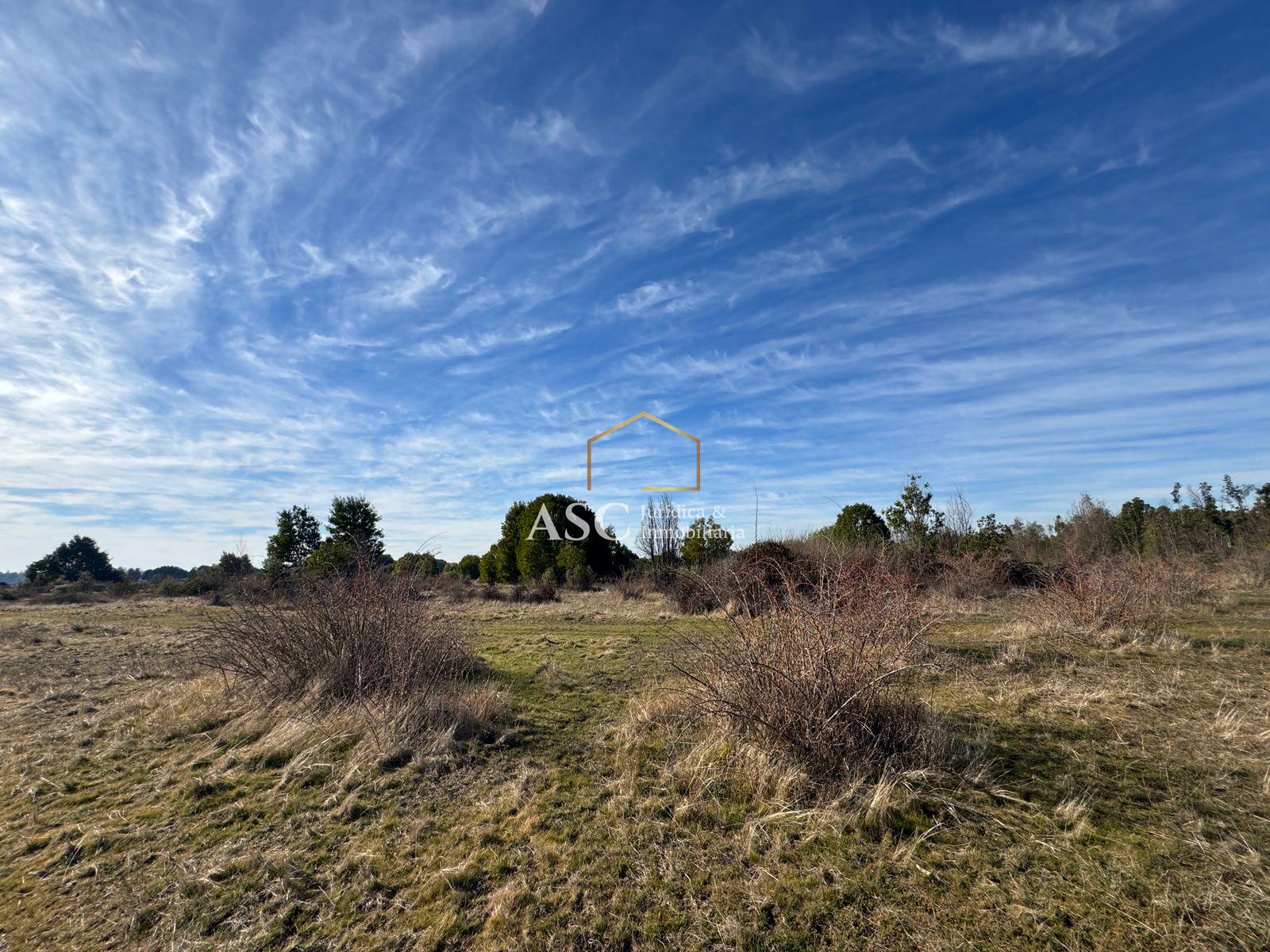 Terreno en venta en Los Ángeles — foto 5