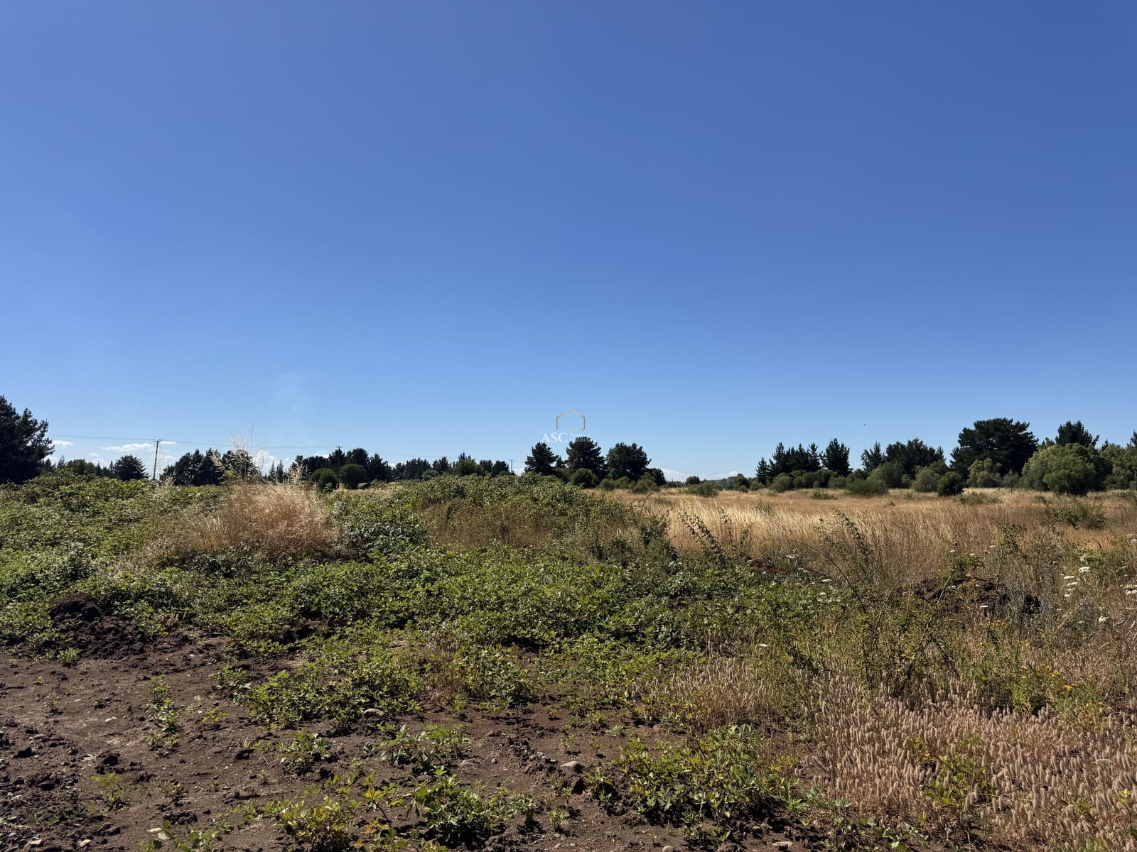 Terreno en venta en Los Ángeles — foto 5