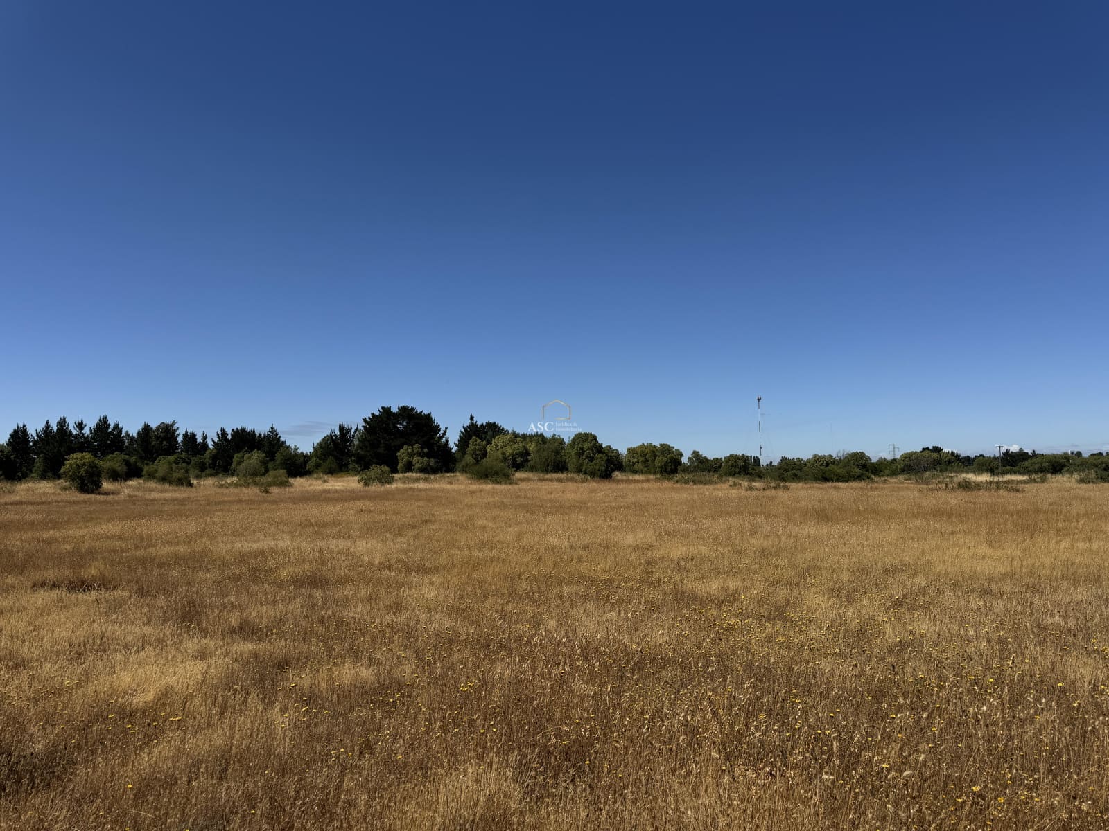 Terreno en venta en Los Ángeles — foto 8