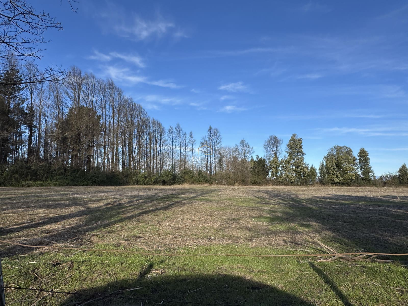 Terreno en venta en Los Ángeles — foto 6