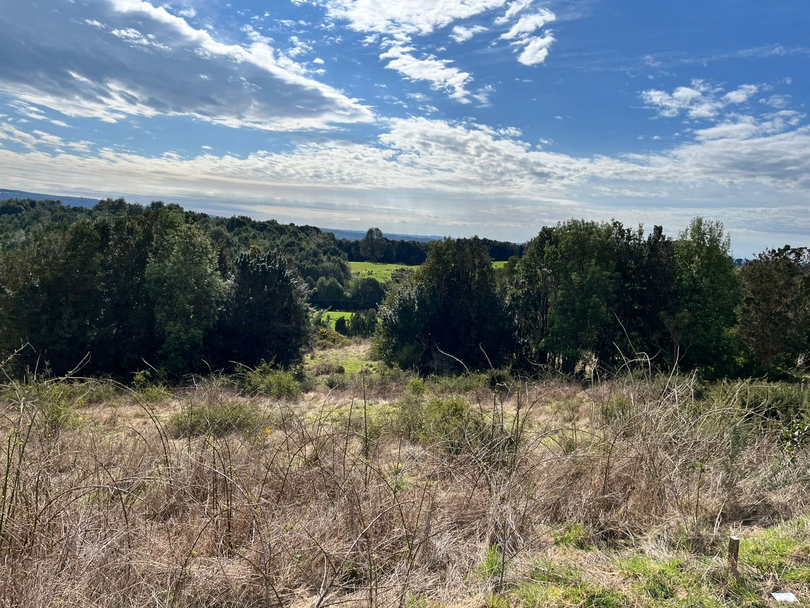 Parcela en venta en Castro — foto 4