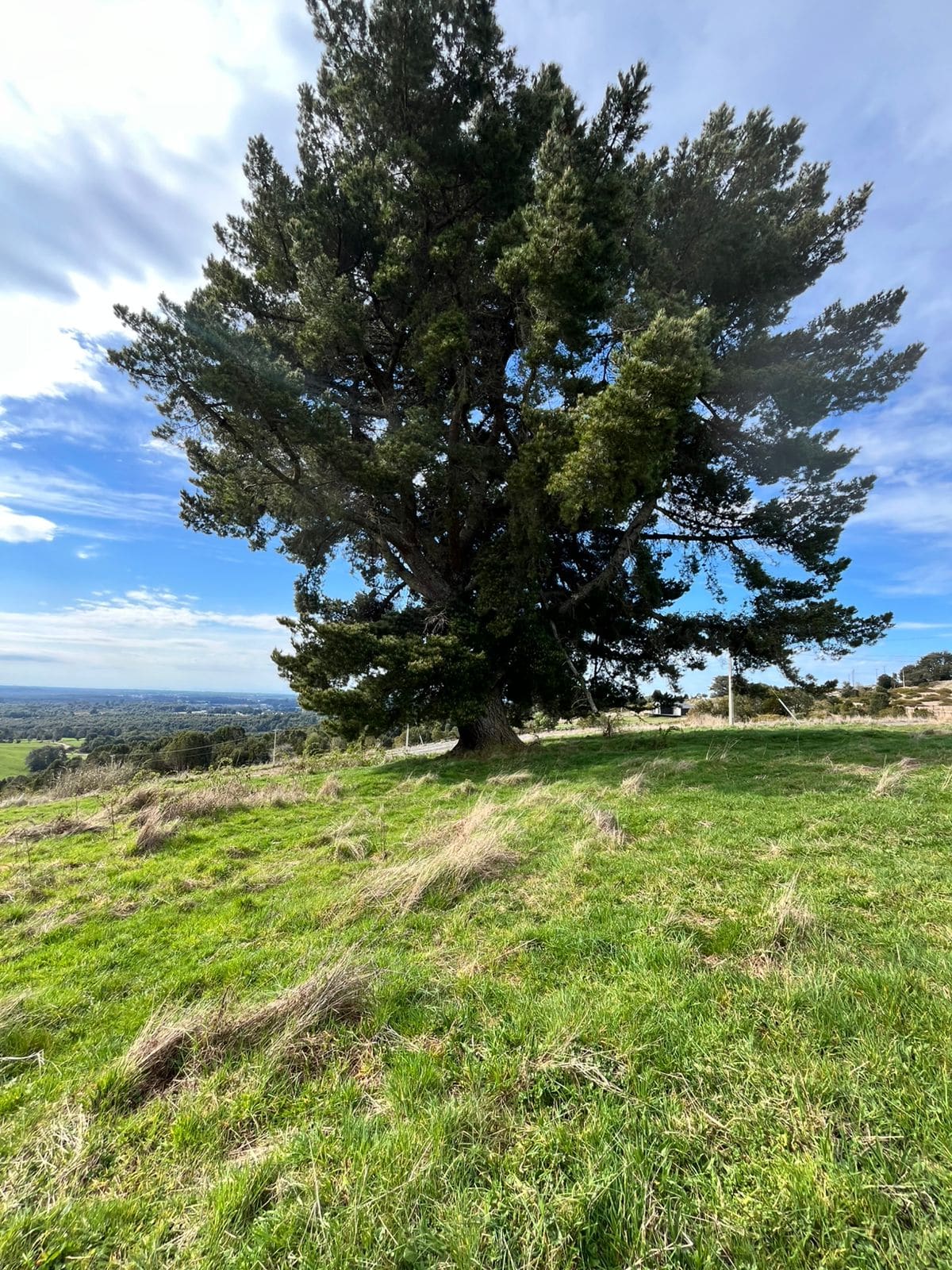 Parcela en venta en Castro — foto 10
