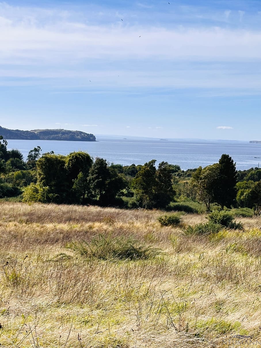 Parcela en venta en Ancud — foto 9