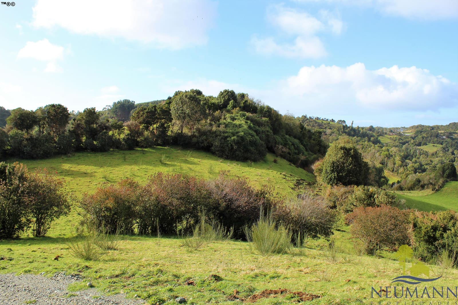 Parcela en venta en Ancud — foto 8