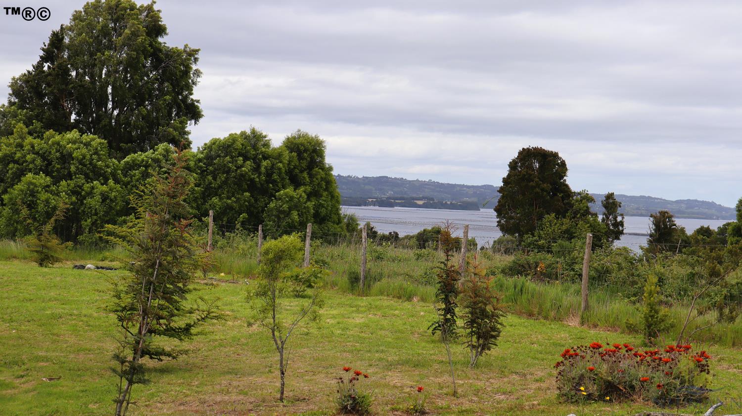 Casa en venta en Chonchi — foto 8